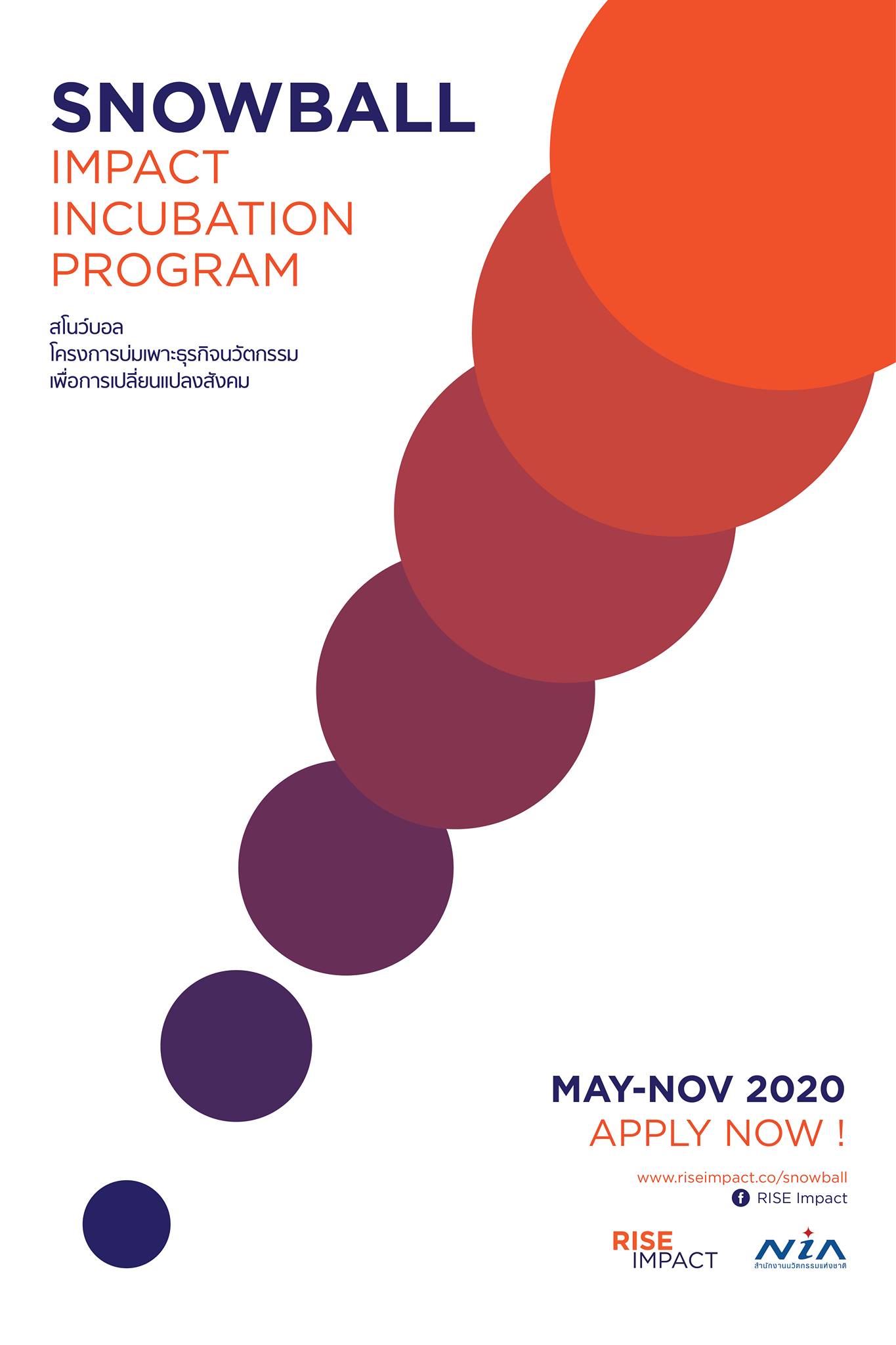 Snowball 2020 Impact Incubation Program